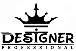 Свідоцтво торговельну марку № 310342 (заявка m201932952): designer professional