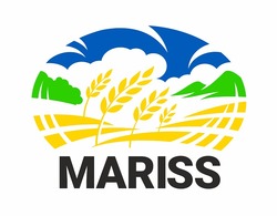 Заявка на торговельну марку № m202205574: mariss