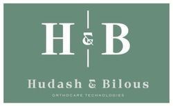 Заявка на торговельну марку № m202405843: н&в; h&b; orthocare technologies; hudash & bilous