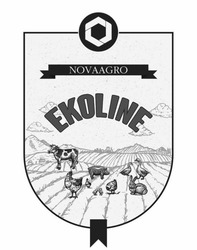 Заявка на торговельну марку № m202005901: novaagro; ekoline