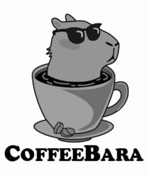 Заявка на торговельну марку № m202322111: coffee bara; coffeebara