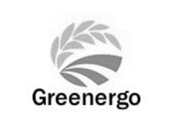 Заявка на торговельну марку № m202024544: greenergo