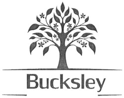 Свідоцтво торговельну марку № 286005 (заявка m201827897): bucksley