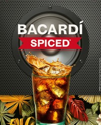Заявка на торговельну марку № m202403976: bacardi spiced
