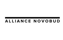 Заявка на торговельну марку № m202211855: alliance novobud