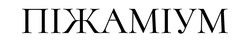 Заявка на торговельну марку № m202500955: піжаміум