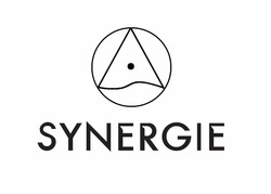 Заявка на торговельну марку № m202416066: synergie