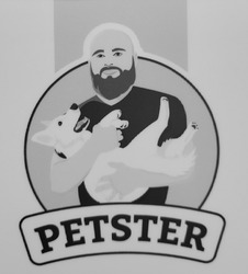 Заявка на торговельну марку № m202404476: petster