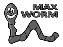 Свідоцтво торговельну марку № 298658 (заявка m201918285): max worm; мах