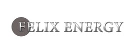 Свідоцтво торговельну марку № 207273 (заявка m201501776): felix energy