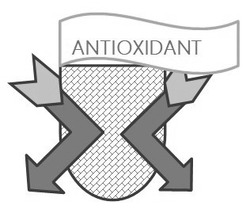 Свідоцтво торговельну марку № 275863 (заявка m201808711): antioxidant