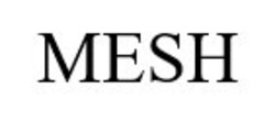 Свідоцтво торговельну марку № 307956 (заявка m201929776): mesh