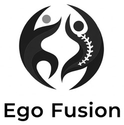 Заявка на торговельну марку № m202605718: ego fusion