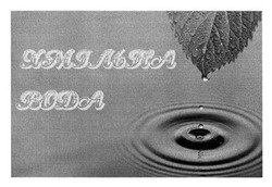 Свідоцтво торговельну марку № 242829 (заявка m201621197): хмільна вода