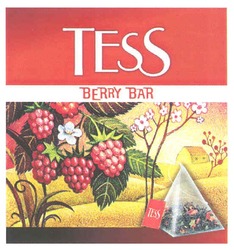 Свідоцтво торговельну марку № 148104 (заявка m201017756): tess berry bar
