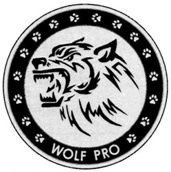 Свідоцтво торговельну марку № 145825 (заявка m201013334): wolf pro