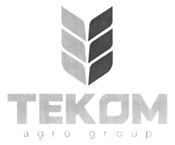 Заявка на торговельну марку № m202515108: теком; tekom agro group
