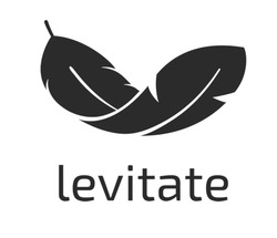 Свідоцтво торговельну марку № 305967 (заявка m201929127): levitate
