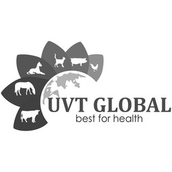 Свідоцтво торговельну марку № 331507 (заявка m202110540): best for health; uvt global