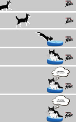 Заявка на торговельну марку № m202517351: як добре бути котом!; felix; purina