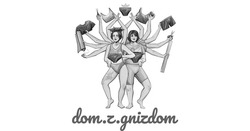 Заявка на торговельну марку № m202416974: dom.z.gnizdom