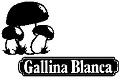 Свідоцтво торговельну марку № 21484 (заявка 97103387): gallina blanca