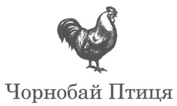 Свідоцтво торговельну марку № 245665 (заявка m201627271): чорнобай птиця
