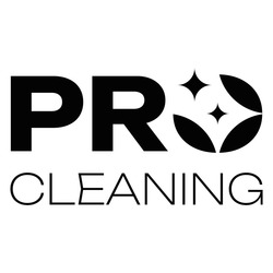 Заявка на торговельну марку № m202519425: pro cleaning