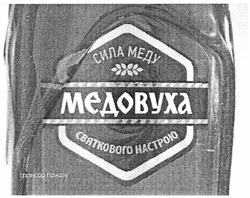 Свідоцтво торговельну марку № 166709 (заявка m201206591): сила меду; медовуха; святкового настрою; спонсор показу