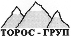 Свідоцтво торговельну марку № 133542 (заявка m200913503): торос-груп; topoc