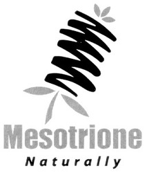 Свідоцтво торговельну марку № 29862 (заявка 2000104645): mesotrione; naturally