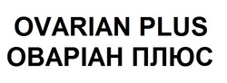 Заявка на торговельну марку № m202421081