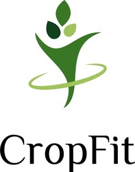 Заявка на торговельну марку № m202511965: crop fit; cropfit