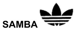 Заявка на торговельну марку № m202401022: samba