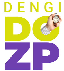 Свідоцтво торговельну марку № 339528 (заявка m202128356): dengi do zp