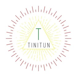 Свідоцтво торговельну марку № 331995 (заявка m202027417): tinitun; т