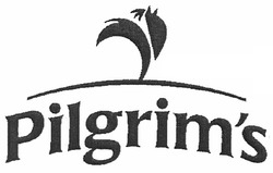 Свідоцтво торговельну марку № 141894 (заявка m201008207): pilgrim's; pilgrims