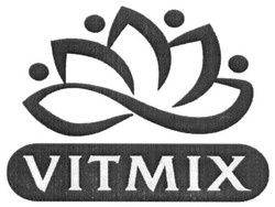 Заявка на торговельну марку № m201714977: vitmix