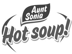Заявка на торговельну марку № m202407035: aunt sonia hot soup!