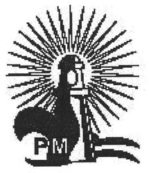 Свідоцтво торговельну марку № 101737 (заявка m200711939): pm; рм
