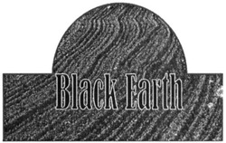 Свідоцтво торговельну марку № 315157 (заявка m202008380): black earth