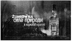 Свідоцтво торговельну марку № 200499 (заявка m201319205): zubrowka; сила природи в кожній краплі; vodka