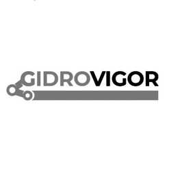 Свідоцтво торговельну марку № 304609 (заявка m201925406): gidrovigor