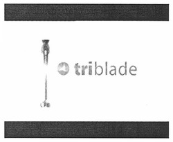 Заявка на торговельну марку № m201001406: triblade; tri blade