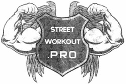 Свідоцтво торговельну марку № 189370 (заявка m201310838): street; workout; pro