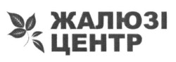 Свідоцтво торговельну марку № 244741 (заявка m201617713): жалюзі центр