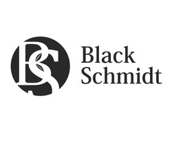 Свідоцтво торговельну марку № 329554 (заявка m202024119): black schmidt; bs