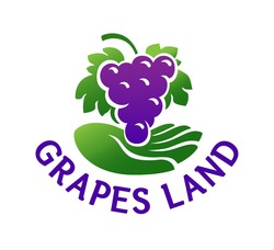 Заявка на торговельну марку № m202013979: grapes land