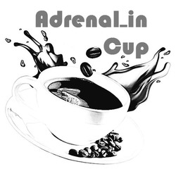 Свідоцтво торговельну марку № 319724 (заявка m202010778): adrenalin cup; adrenal_in cup