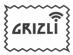Заявка на торговельну марку № m201215029: grizli